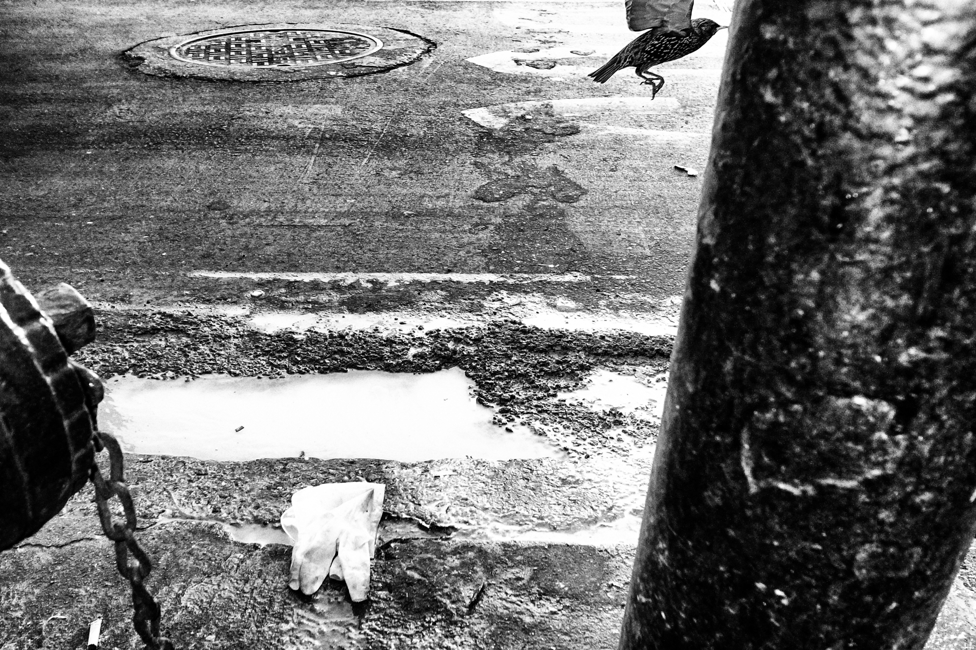 Michael_Ernest_Sweet_Street_Photography.M